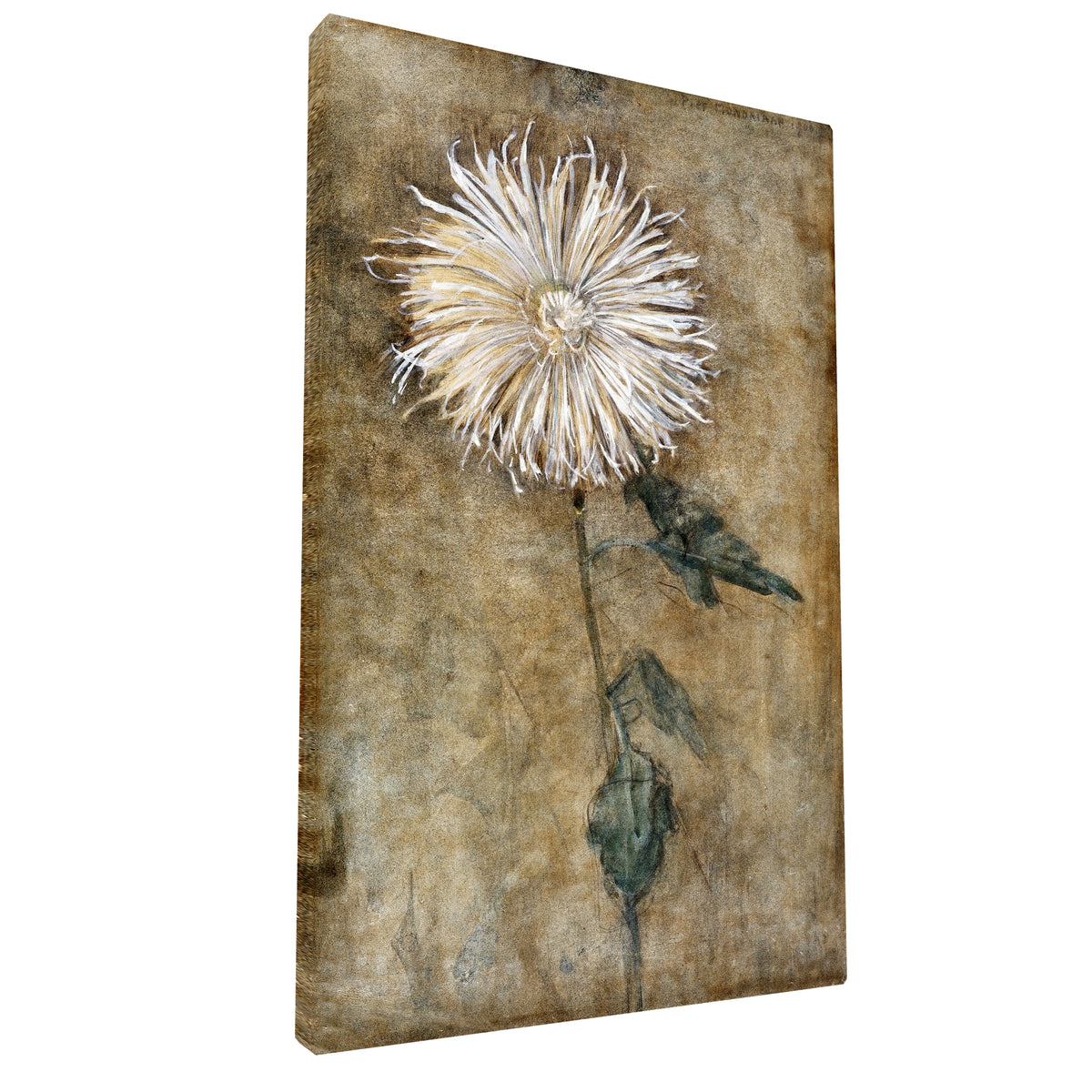Piet Mondrian - Chrysanthemum fine art Giclée canvas print, gallery wrapped and ready to hang