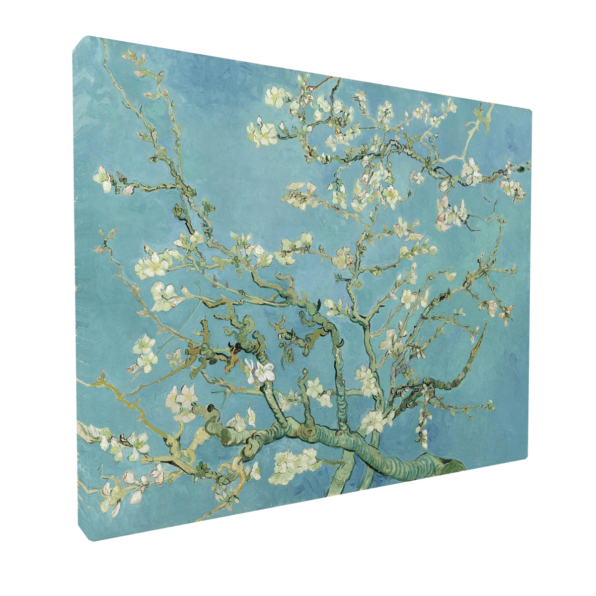 Vincent van Gogh - Almond Blossoms fine art Giclée canvas print, gallery wrapped and ready to hang