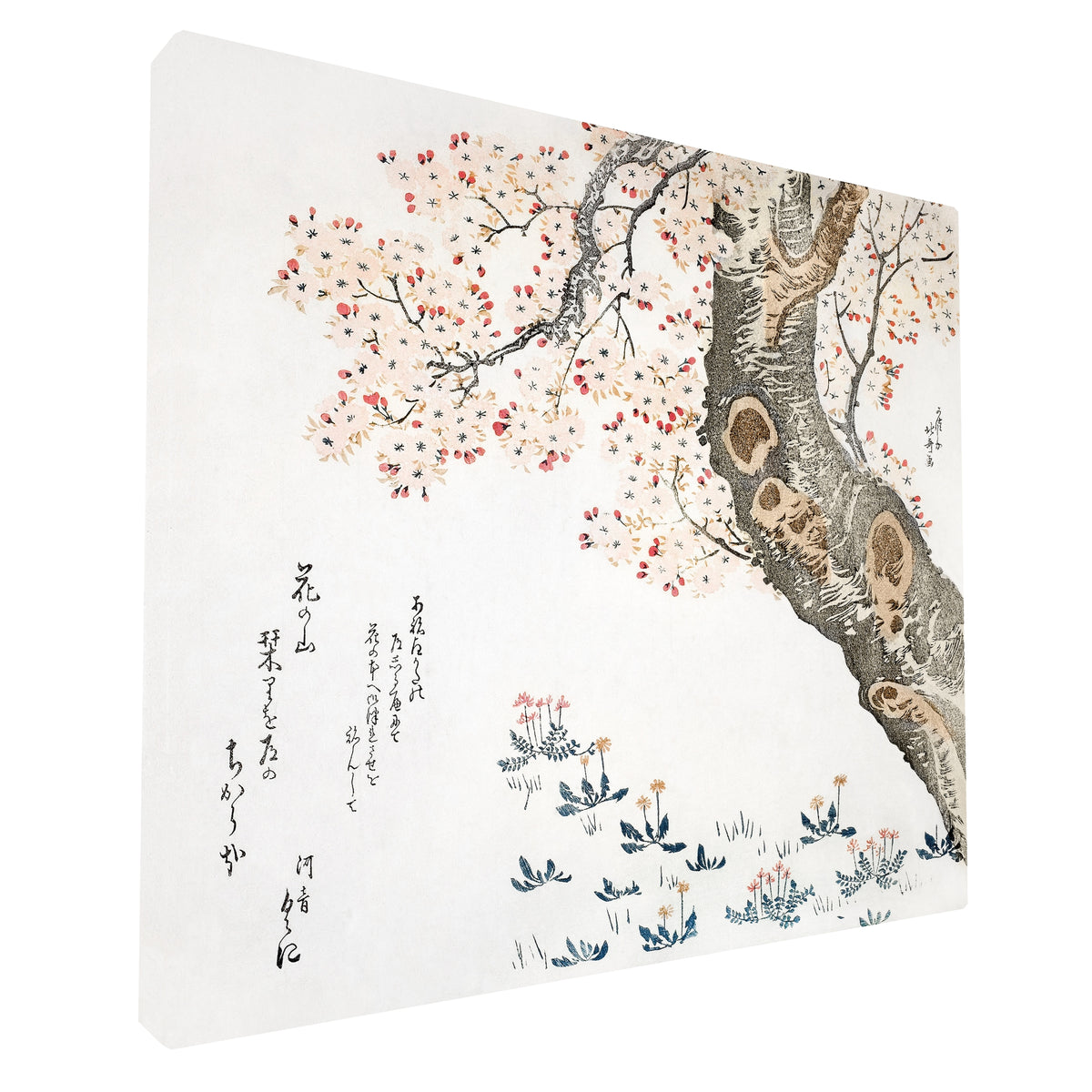Katsushika Hokusai - Cherry Blossoms fine art Giclée canvas print, gallery wrapped and ready to hang