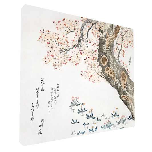 Katsushika Hokusai - Cherry Blossoms fine art Giclée canvas print, gallery wrapped and ready to hang