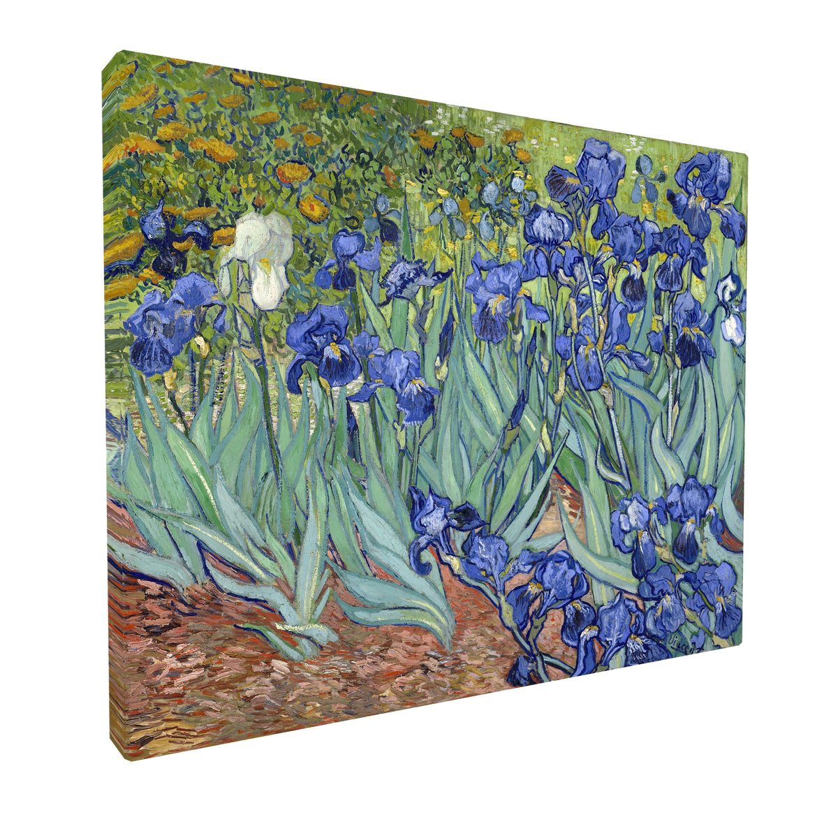 Vincent van Gogh - Irises (1889) fine art Giclée canvas print, gallery wrapped and ready to hang