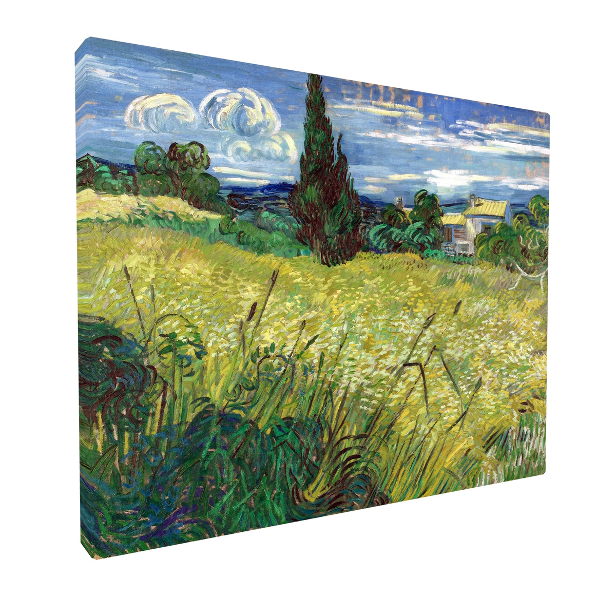 Vincent van Gogh - Green Field fine art Giclée canvas print, gallery wrapped and ready to hang