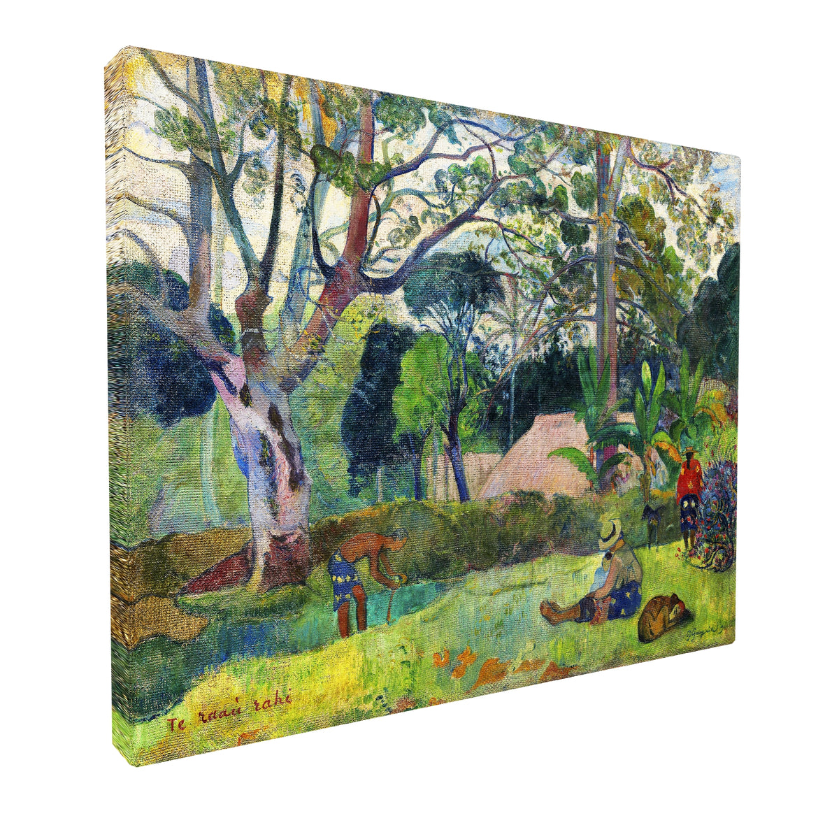 Paul Gauguin - The Big Tree Te raau rahi fine art Giclée canvas print, gallery wrapped and ready to hang