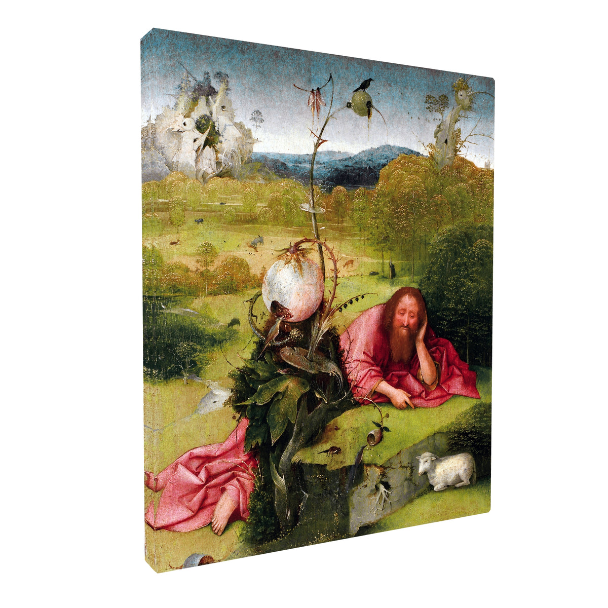 Hieronymus Bosch - St. John the Baptist in the Wilderness fine art Giclée canvas print, gallery wrapped and ready to hang
